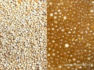 PH SAGO BIG WHITE 250g