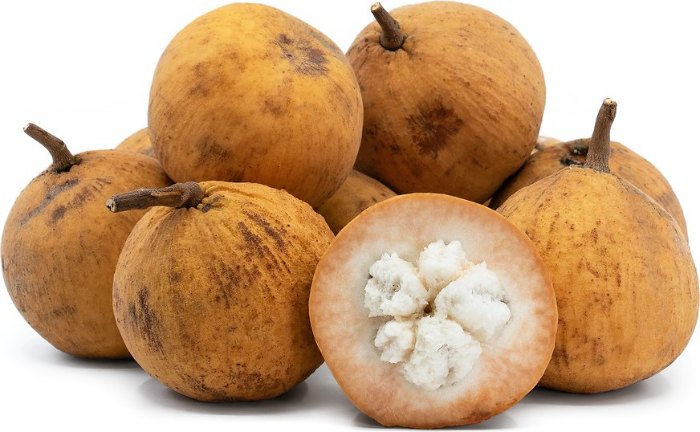 SANTOL /kg
